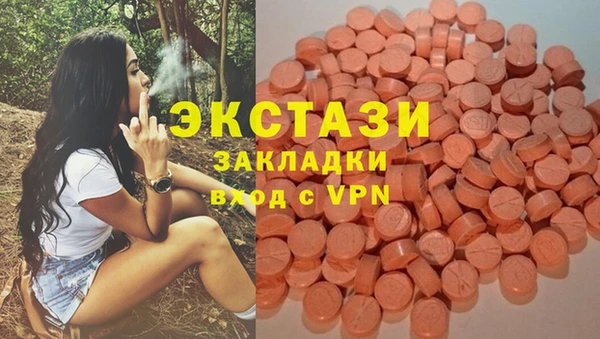 ГАЛЛЮЦИНОГЕННЫЕ ГРИБЫ Бородино