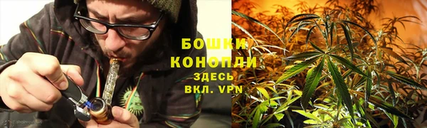 твердый Верхний Тагил